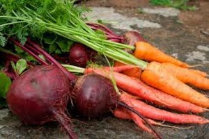 Do-it-yourself veggie cannery on the cards